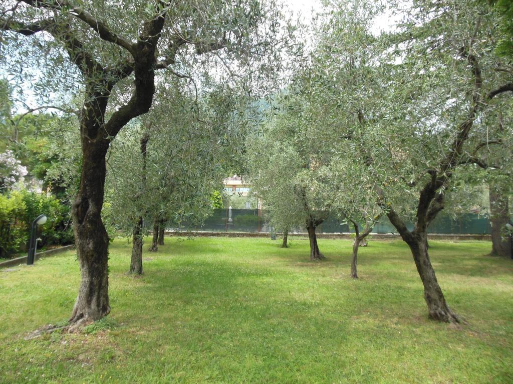 Residenza Hotel Garden Toscolano Maderno Exterior photo